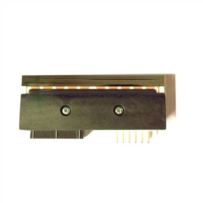 Model BizerBa Printhead: GLP-80GS